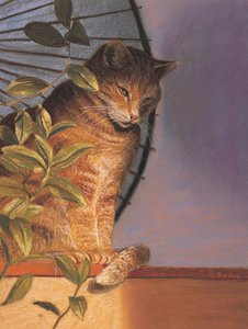 Contemplation